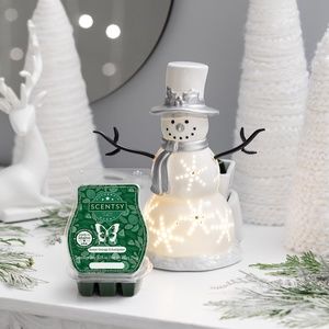 Scentsy Warmer and scent of November
